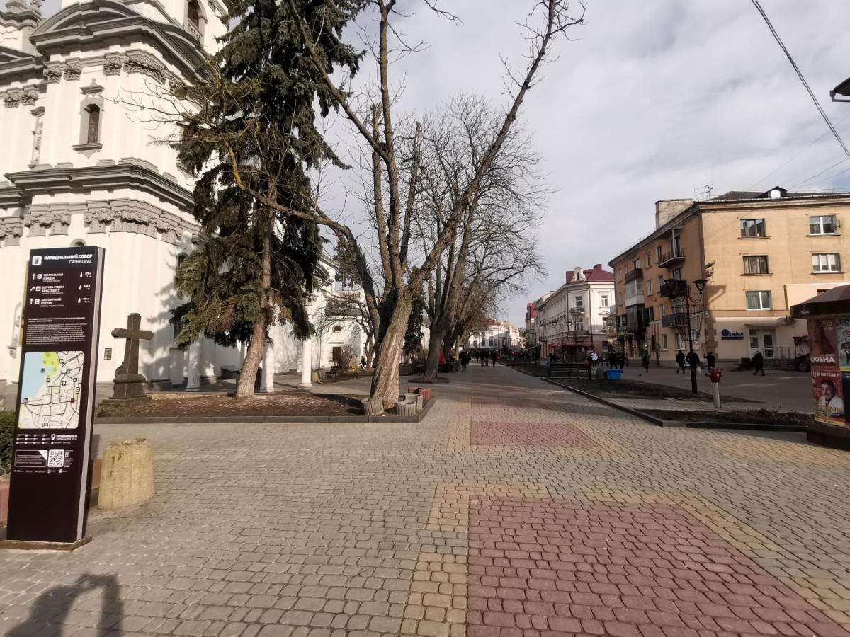 прекрасная в самом центре Apartment Ternopil